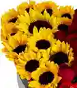 Caja Girasoles Y Rosas – Rayos Del Alma 💖🌻