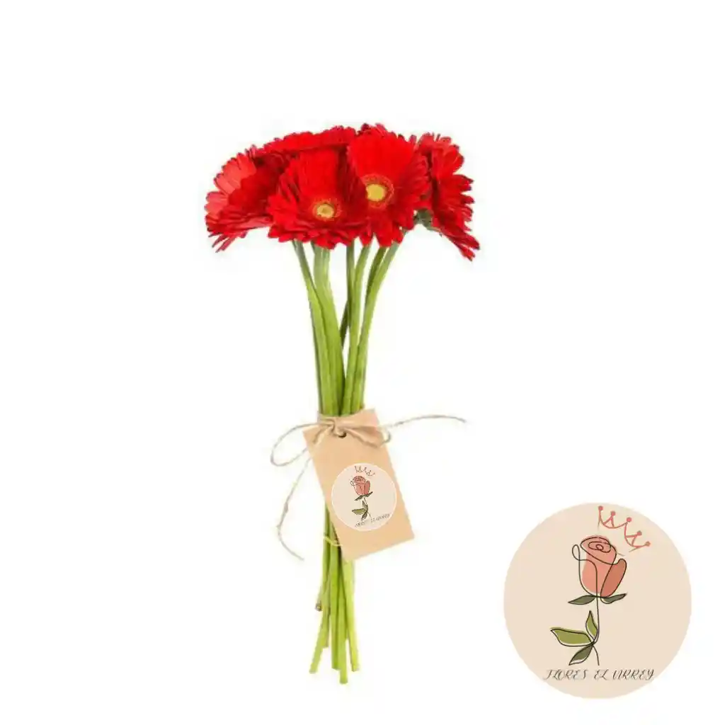 Gerberas Roja En Paquete