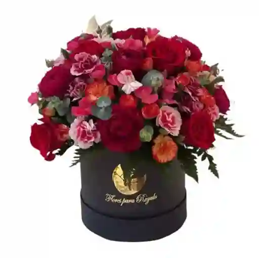 Amanecer – Flores En Caja