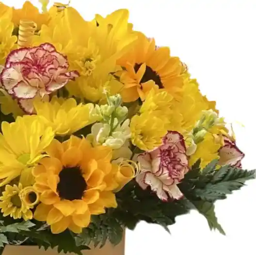 Flores Amarillas En Caja – Brillo Especial 🌼💛