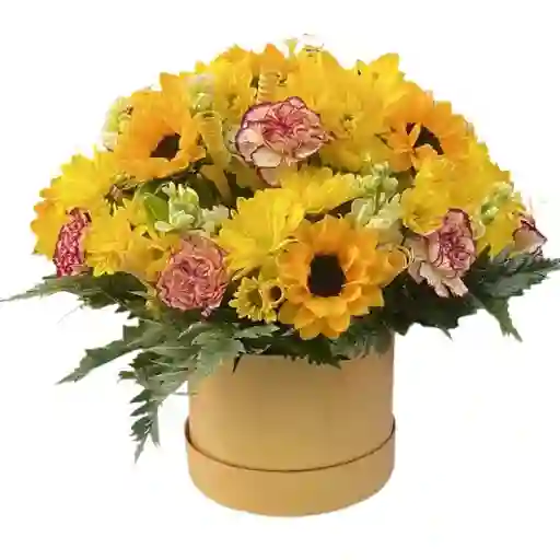 Flores Amarillas En Caja – Brillo Especial 🌼💛