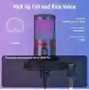 Neewer Cm25 Micrófono Con Soporte Usb Luz Rgb Pc Mac