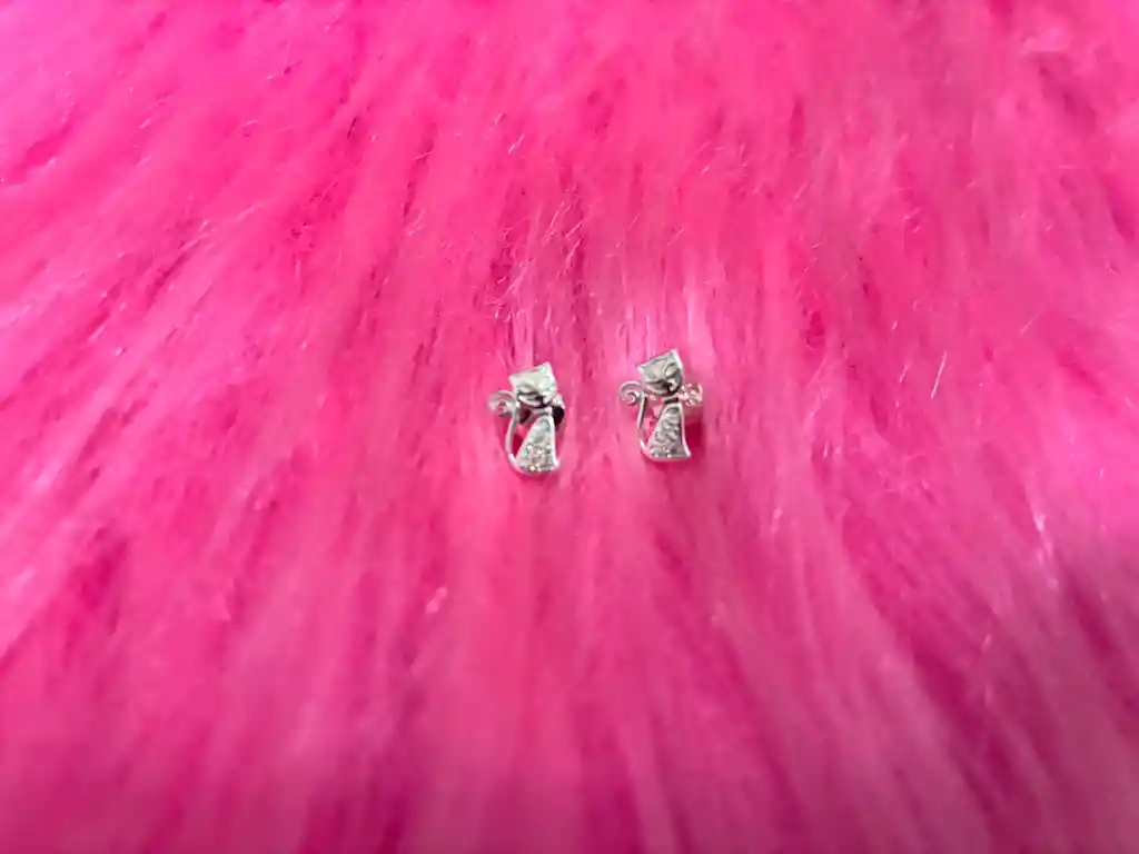Par Aretes En Plata Con Diseño De Gatos