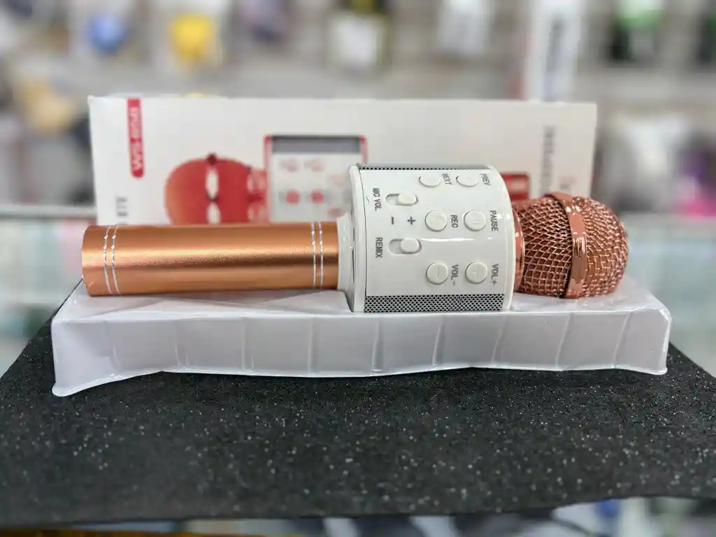 Microfono Karaoque Usb Sonido Parlante