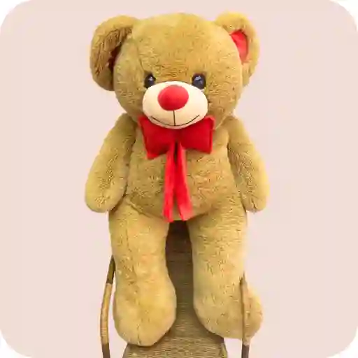 Oso De Peluche Mediano