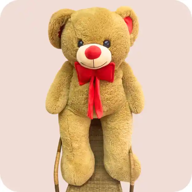Oso De Peluche Mediano