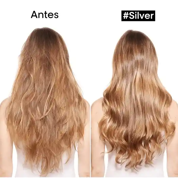 Shampoo Silver Cuidado Del Cabello Blanco Loreal Professionnel 300ml