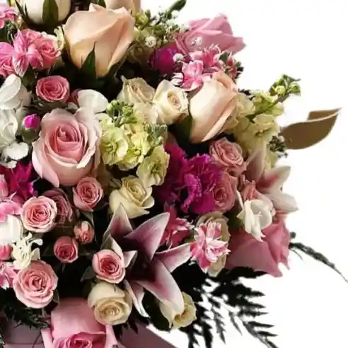 Flores Románticas Rosadas