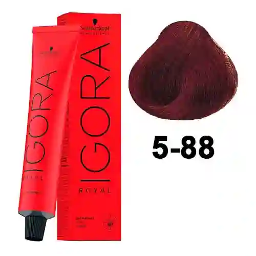 Tinte Igora Royal 5-88
