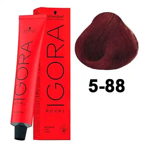 Tinte Igora Royal 5-88