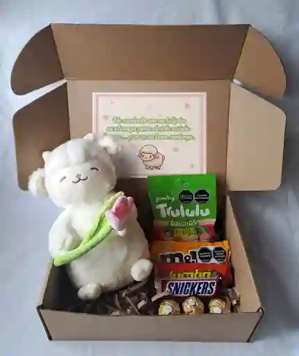 Caja - Peluche Corderito Con Tulipan