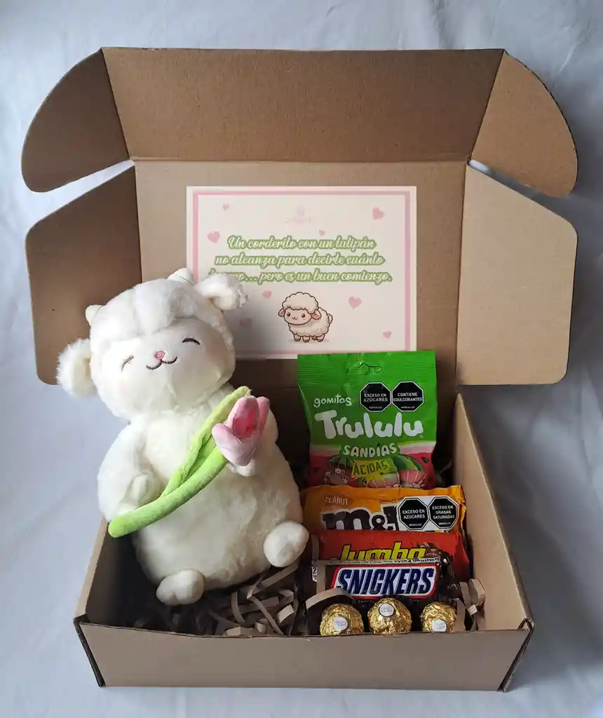 Caja - Peluche Corderito Con Tulipan