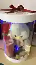 Caja Cilindro Con Peluche Detalle Sorpresa