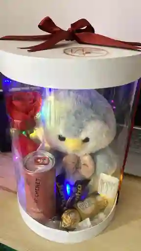 Caja Cilindro Con Peluche Detalle Sorpresa