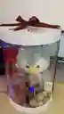 Caja Cilindro Con Peluche Detalle Sorpresa
