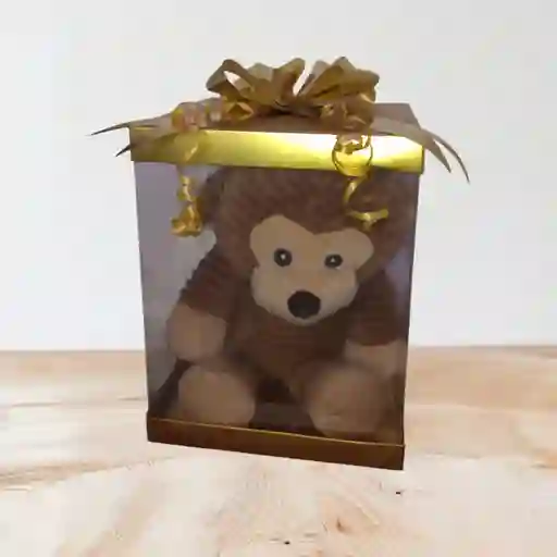 Detalle De Caja De Acetato Doraro Con Peluche