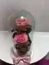 Rosa Preservad Rosada