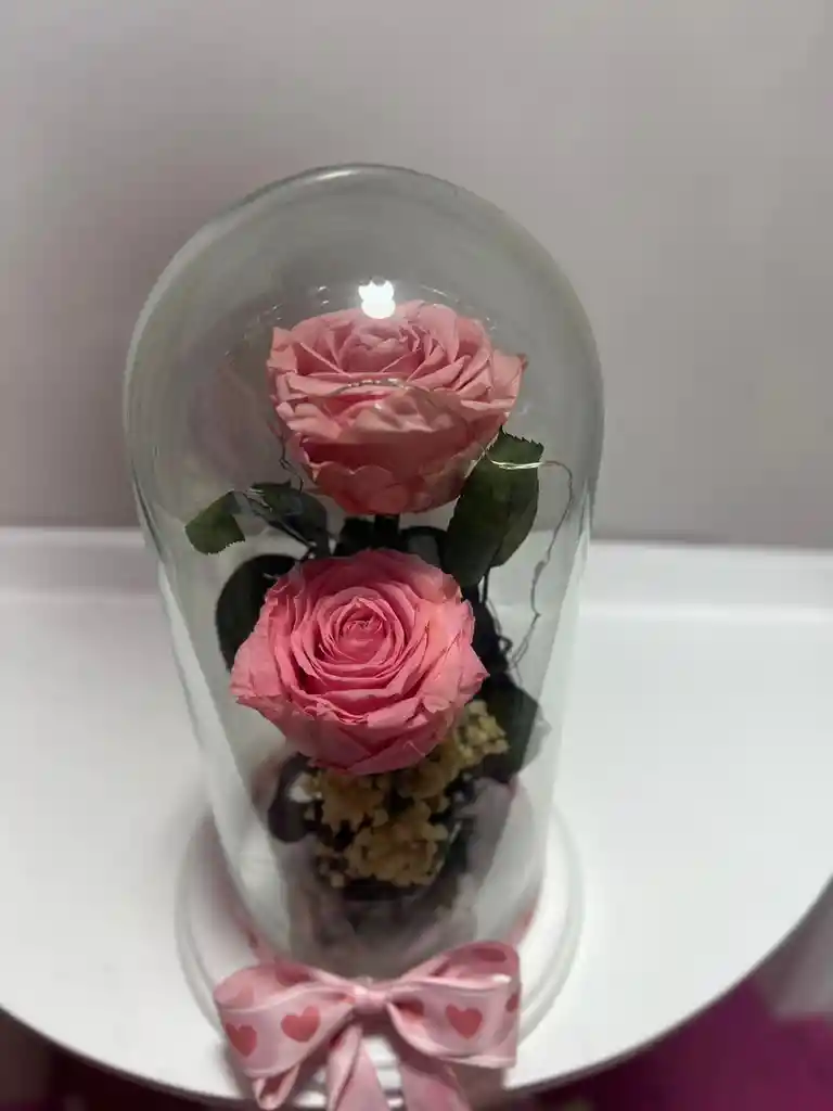 Rosa Preservad Rosada