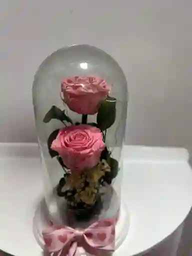 Rosa Preservad Rosada