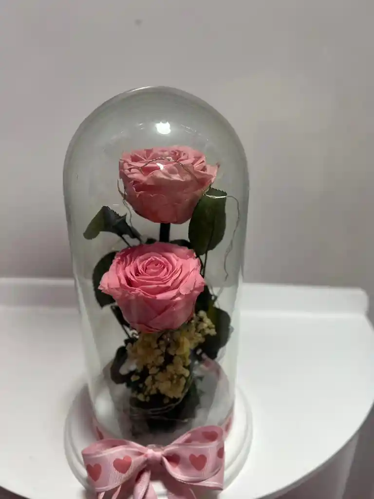 Rosa Preservad Rosada