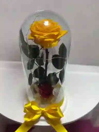 Rosa Preservada Amarilla