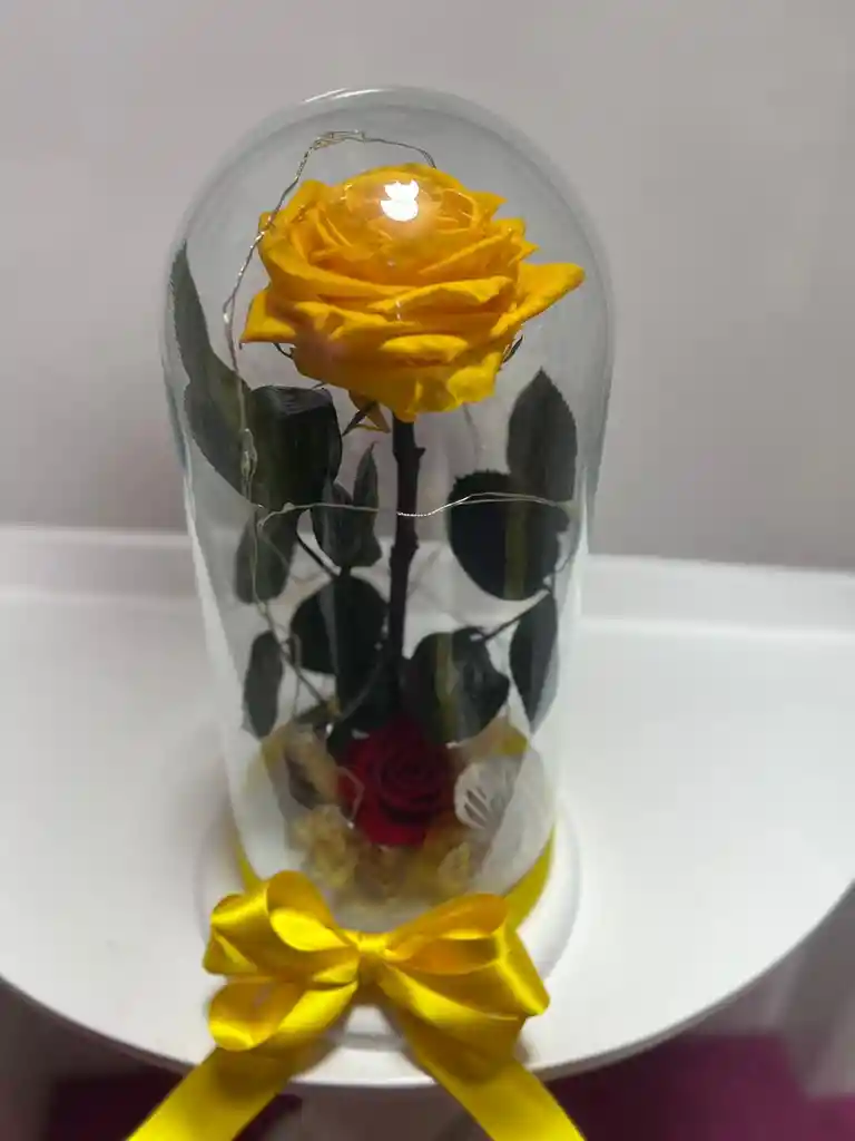 Rosa Preservada Amarilla