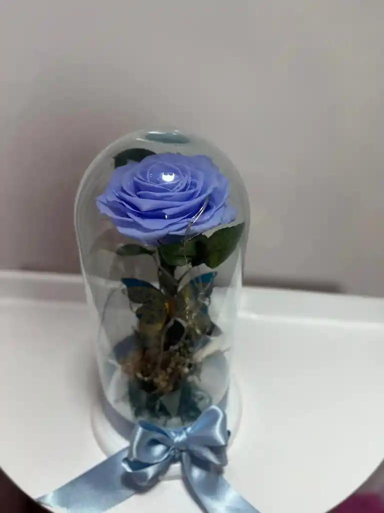 Rosa Preservada Azul