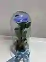 Rosa Preservada Azul