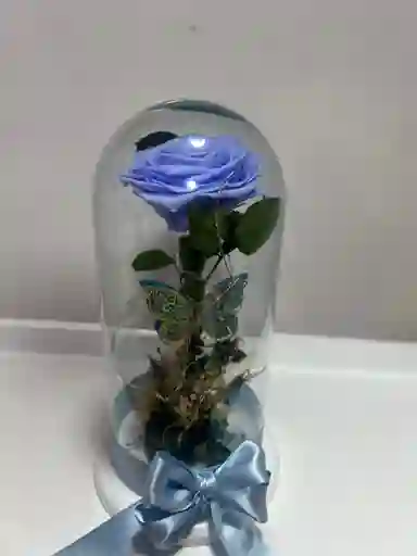 Rosa Preservada Azul