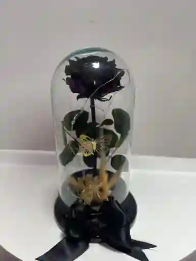 Rosa Preservada Negra