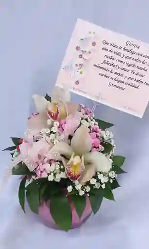 Peceras De Orquídeas