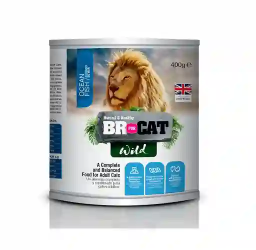 Br For Cat Lata Wil Ocean 400g