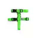 Arnés M Adorable Verde Neón