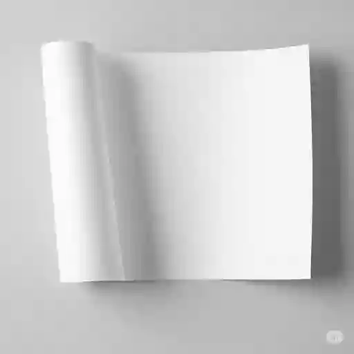 Cartulina Blanca 1/2 Pliego