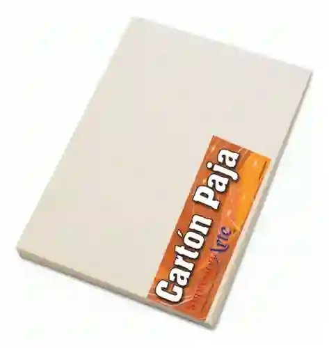Carton Paja 1/8 X3 Und