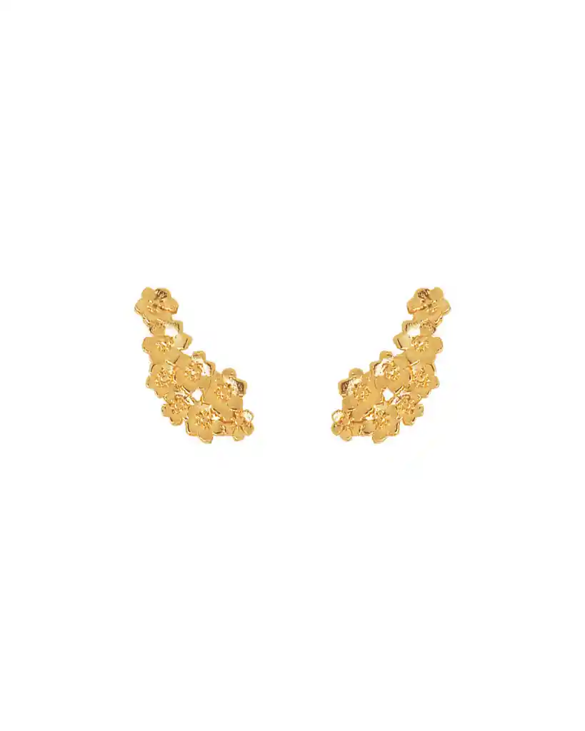 Lunamar Aretes Passionara