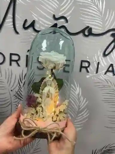 Cupula Virgencita