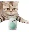 Juguete Interactivo Catnip Hierba Gatos Adhesivo Pared Piso