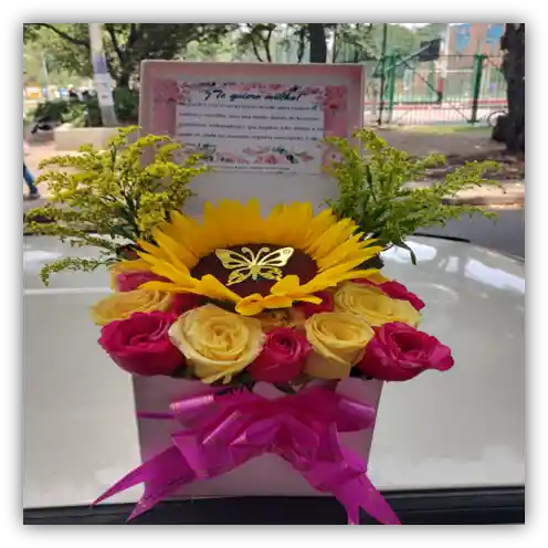 Caja 24 Rosas + 1 Girasol