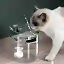 Fuente De Agua Mascotas Bebedero Usb