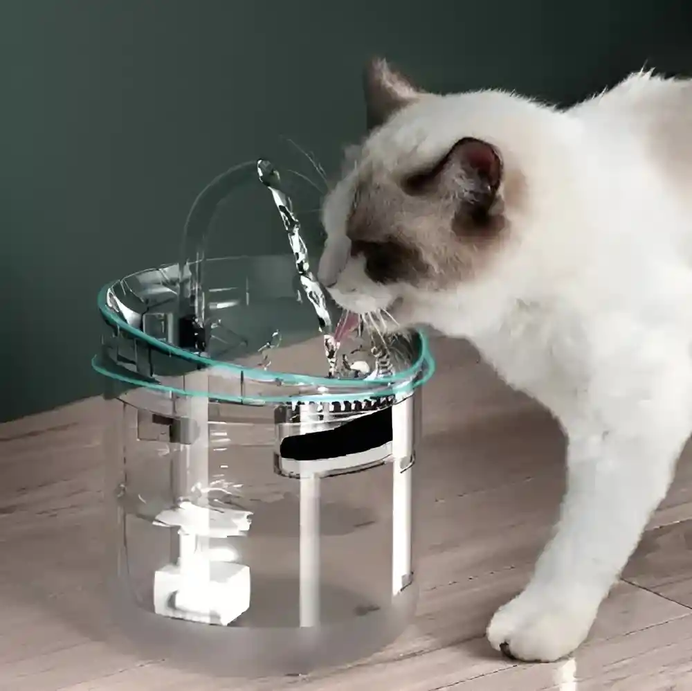 Fuente De Agua Mascotas Bebedero Usb