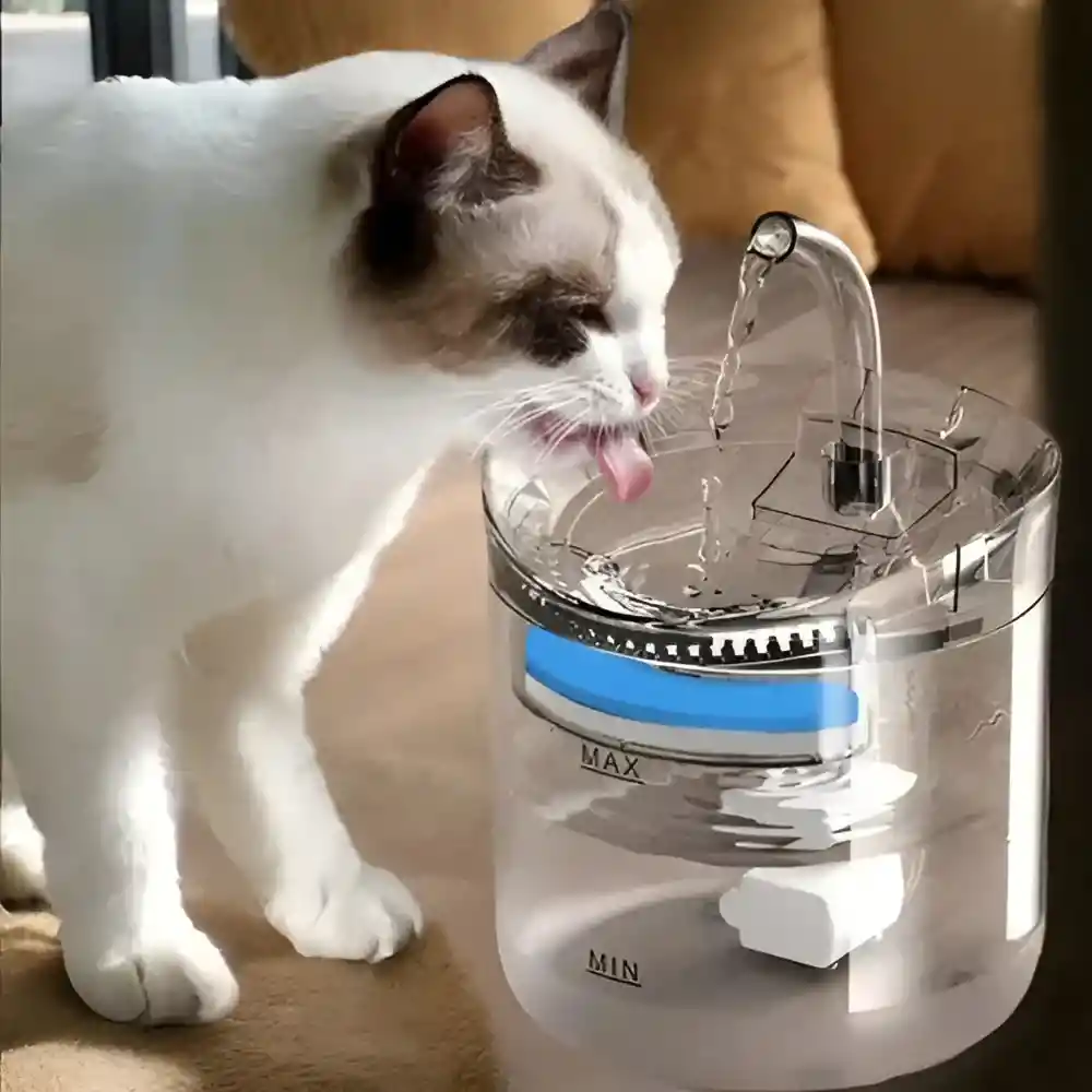 Fuente De Agua Mascotas Bebedero Usb