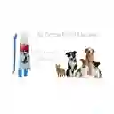 Kit Dental Para Mascotas Sabor Carne
