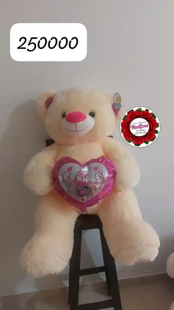 Oso De Peluche