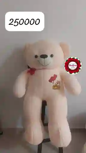 Oso De Peluche