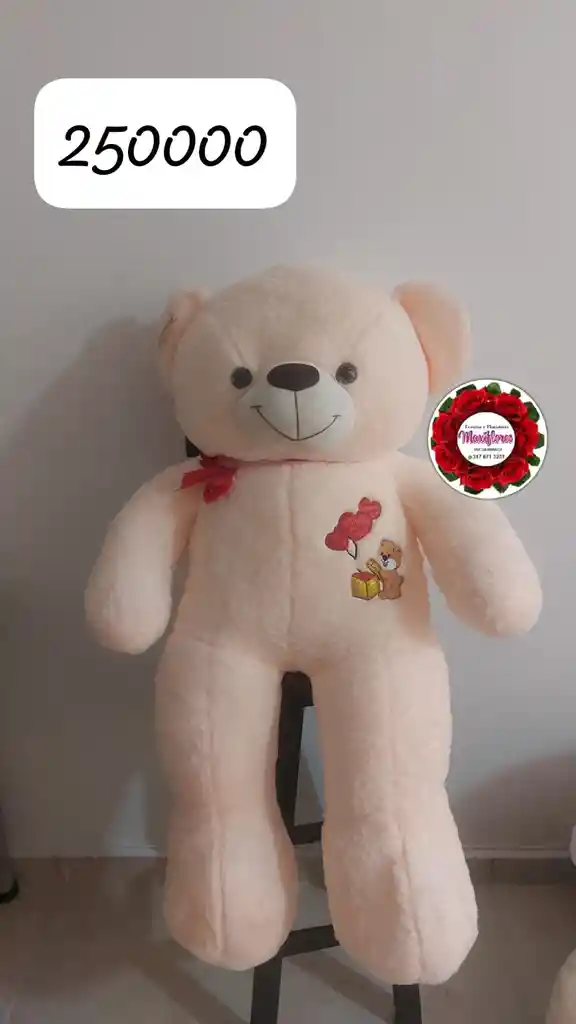 Oso De Peluche