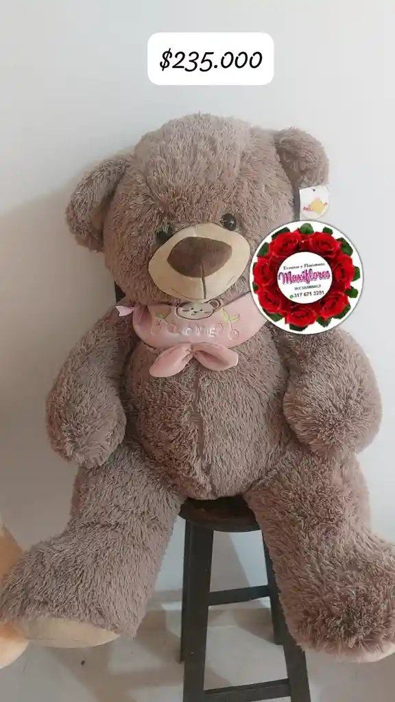 Oso De Peluche