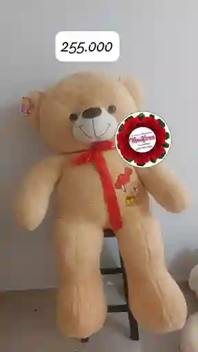 Oso De Peluche