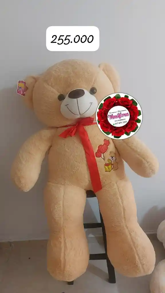 Oso De Peluche