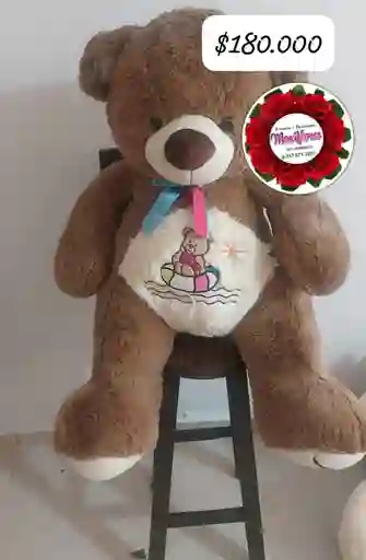 Oso De Peluche